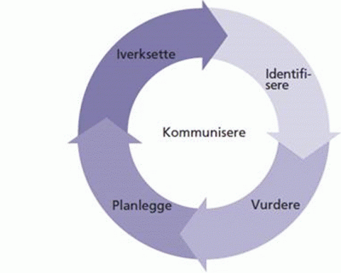 Usikkerhetshjul_1